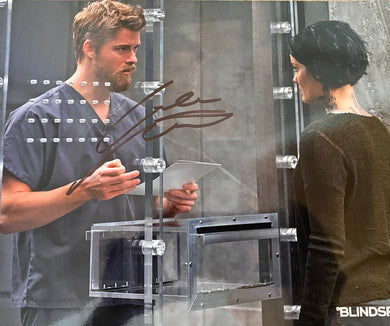 Luke Mitchell 2