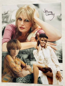 Joanna Lumley 5